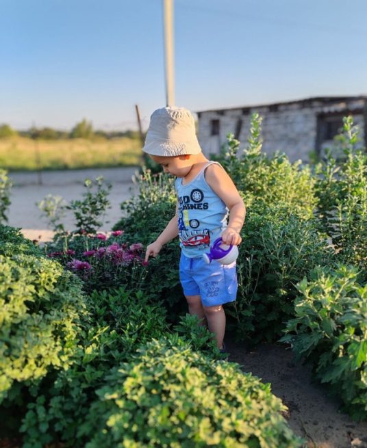 Подробнее о статье День добрых дел